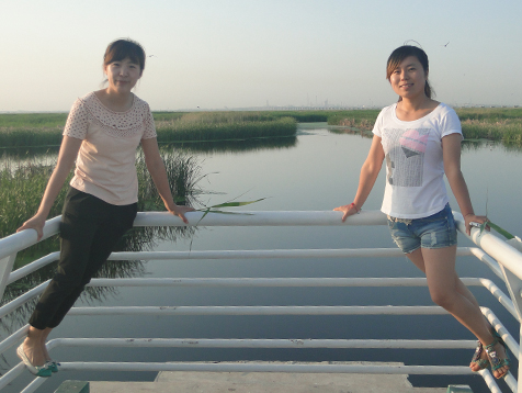 122cc太阳集成游戏(中国)有限公司官网